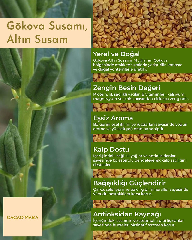 Kavrulmuş Altın Susam 100gr görsel 3
